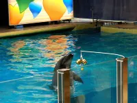 Toyoko Inn Aomori Ekimae Hotels in Aomori