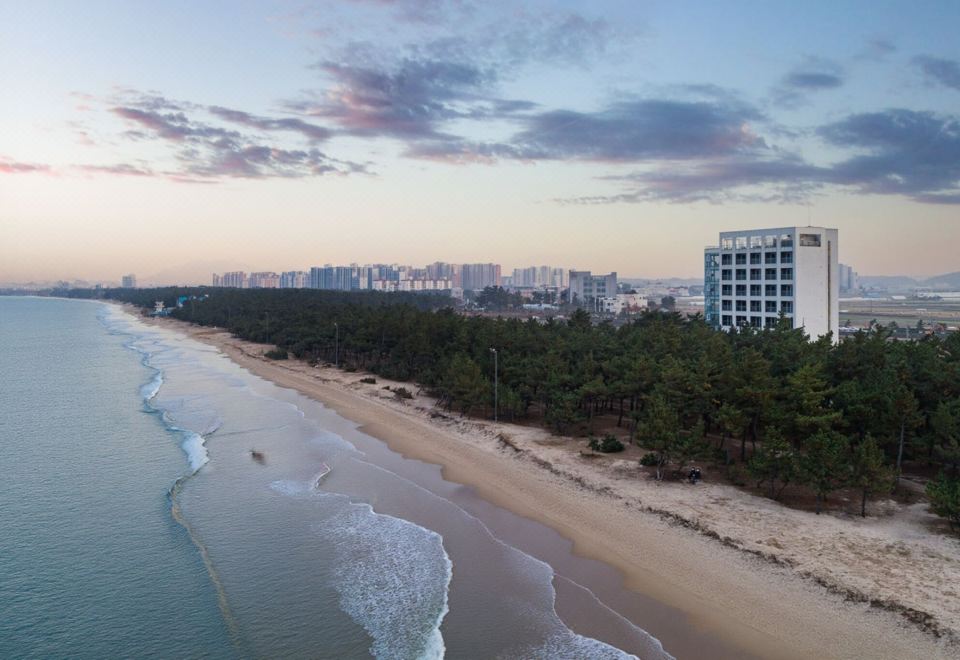 하운드 더블루 호텔