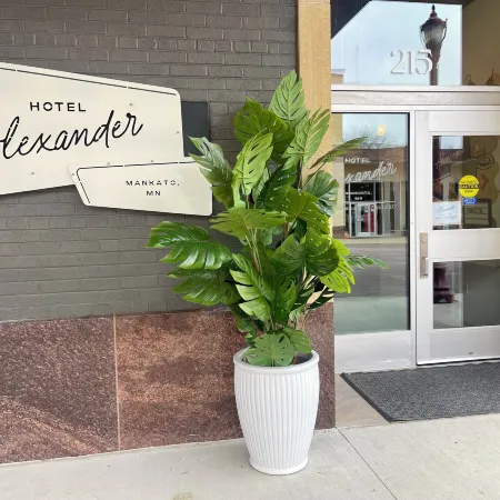 Hotel Alexander
