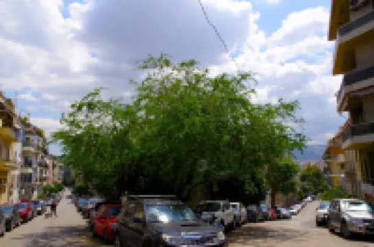 Absolute Athens Acropolis View