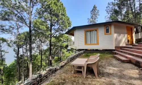 The Woods Retreat