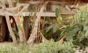 Villa Mango Jeri