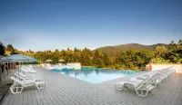 Villa Rinascimento Dependance Hotels in Molina di Quosa-rigoli