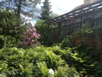 New - Modernized vacation apartment WE 4