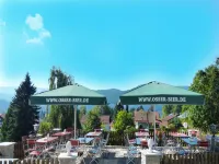 GarniHotel Zur Linde - Bayerischer Wald - Inklusiv AktivCard - Kostenloser Parkplatz Hotels in Lam