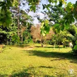 Choclino Ecolodge -Bungalows Con Piscina Privada, Mirador y Tours en la Selva - piscine