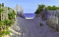 Charming Montauk Getaway centrally located