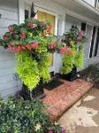Stylish 2 Br Spartanburg Retreat Hotels near Northside Baptist Church