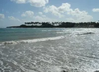 Amazing Ocean and Pool view, lots of openings  for Spring and Summer Bookings Отели рядом с достопримечательностью «Amber Cove Excursions»