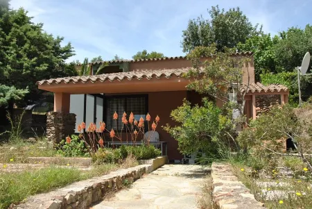 Last-Minute Offer Villa near the sea Porto sa Ruxi in Residence with swimming pool