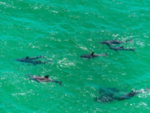Nantucket Cottage #11B - Downstairs Cottage