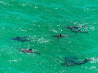 Nantucket Cottage #11B - Downstairs Cottage