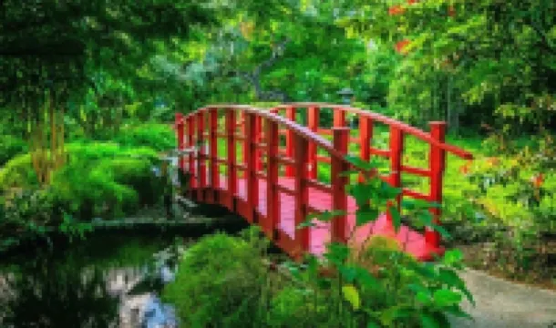 A single family home near beaches, Miami Dolphins Stadium & shopping outlets. 마이애미가든 호텔