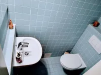 Vacation with dog in the Harz Mountains, underground parking, guest WC, balcony, 50m to the forest