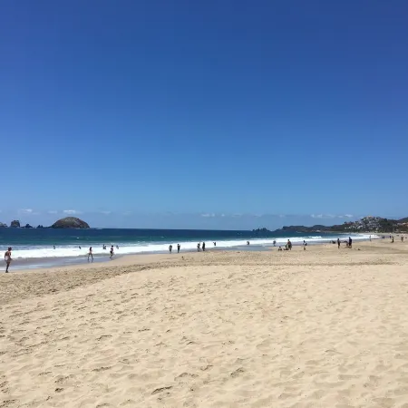 Spectacular Oceanfront Ixtapa Villa...Steps to a Clean, Powdery-Soft Beach!