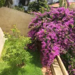 SOBRE RIBAS 2|12. 10AApartment with two bedrooms and small patio