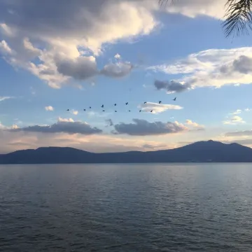 The room it self accessed by a complety private entrance , new matress