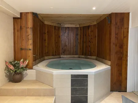 The 2 Alpes / Venosc, 10 pers. NEW with steam room, sauna, jacuzzi.