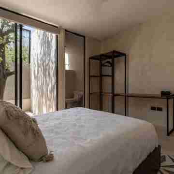 Spacious 1-floor House, Outdoor Oasis in Centro Rooms