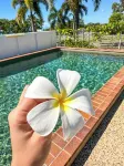 Ocean View Motel Bowen - Pools