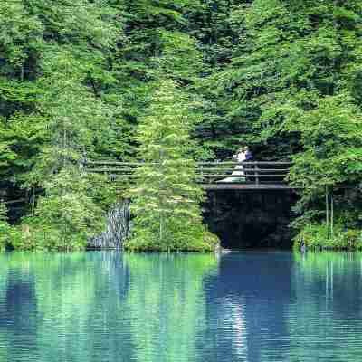 Hotel & Spa Blausee Fitness & Recreational Facilities