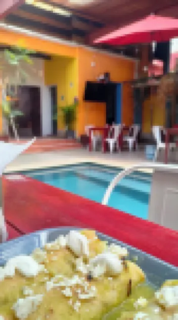 Iguana Coliving