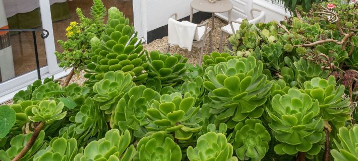 Sands Studio & Samphire Studio Hoteles en Saint Ives