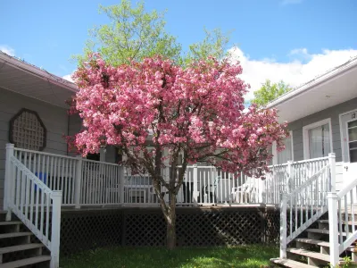 Motel de l'Outlet Hotels near Pointe-Merry Park