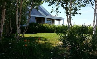 Beach House Comfort