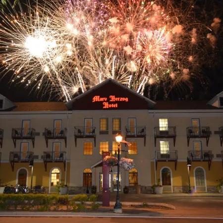 Marv Herzog Hotel