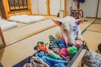 Akiyato Sea Side Tsubaki Hotel in zona Ryotsu Port