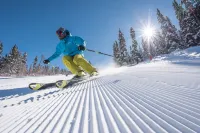 Araucaria Hotel & Spa Hotels in Aime