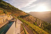 Quinta Vale de Lobos Douro Hotels in Gouvinhas