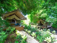 Curiol Boutique Hotel & Lounge Hotels in Potrero