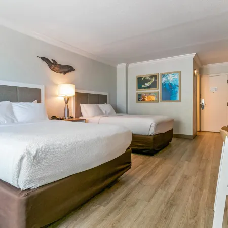 Dolphin Sands Clearwater Beach, Ascend Hotel Collection
