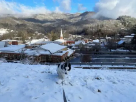 Awesome House in Downtown Sylva! シルバのホテル