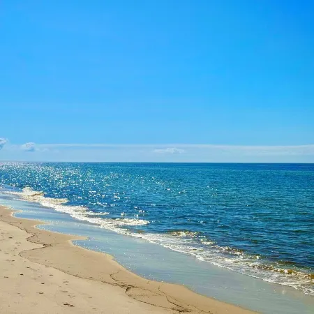 Sun, sand, and seaside: Enjoy nature and the beach life at the Forgotten Coast.