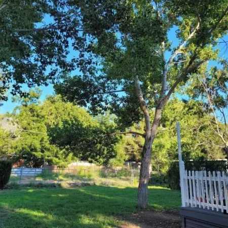 DE-stress in this quiet, serene cottage. Mountains, Horses, Verde River, Peace.