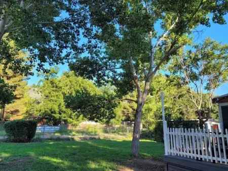 DE-stress in this quiet, serene cottage. Mountains, Horses, Verde River, Peace.