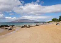 Maui Kamaole, 2 Lanais,  Queen Sofa Beds, Quiet, Eco Friendly, South Kihei Condo