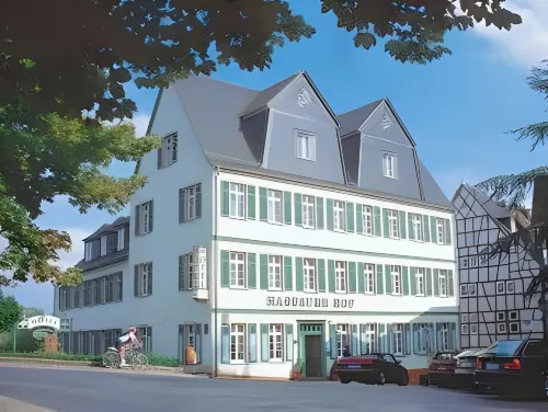 Hotel Nassauer Hof Hotels in Diez
