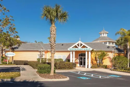 놀라운 안드로스