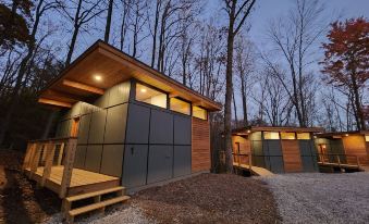 Piedmont Grove