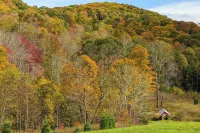 Hike, Ski & More: Blue Ridge Mountain Escape - Wifi