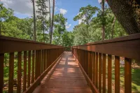 New Listing - Cape Royale Tree House w/ Fire Pit – Direct Lake Access