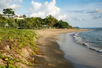 Sea Urchin | Lush Garden Villa steps from the beach of your dreams