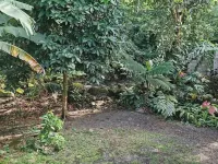 Rustic cabin in La Fortuna/ (Breakfast included)