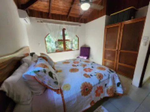 Tropical Perfection, Includes Kayak, Snorkel, Beach Gear, Walk to the Beach