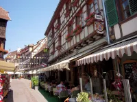 Hôtel Sainte Odile - Barer