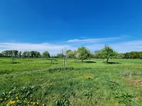 Der Michelshof - Wohnen mit Stil und Viel Platz auf dem Land فنادق في Kevelaer
